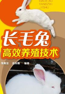 我们之间的距离