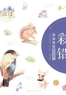 棠桉缀