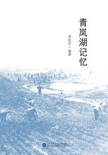 火影之漩涡岚