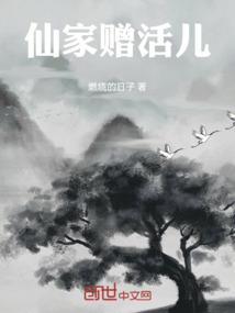 我的老婆是总裁