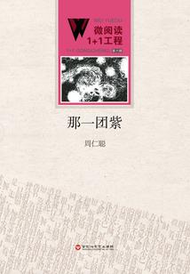 迷妹王爷