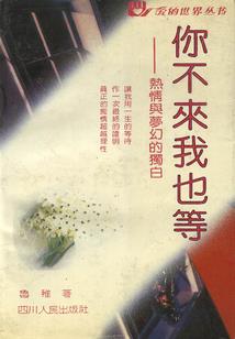 最终之幻
