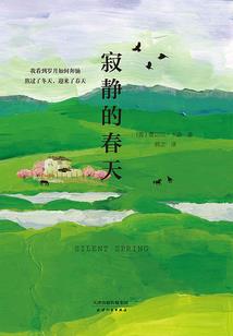疯狂7天乐