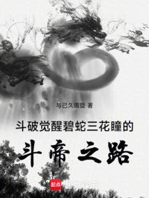 宠物小精灵之不一样的冒险