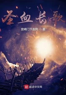 卡牌至圣