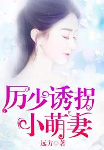 无良的小妃