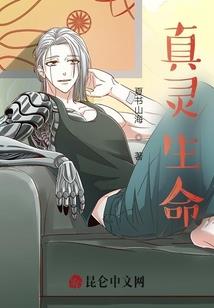 青葱过往