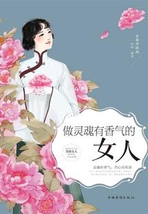 大燕天启传