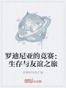 追忆极光