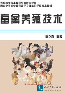末日的骑士