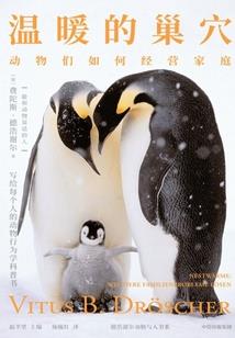 天法神龙王