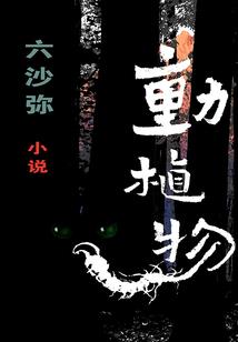 十年差三个月零四天