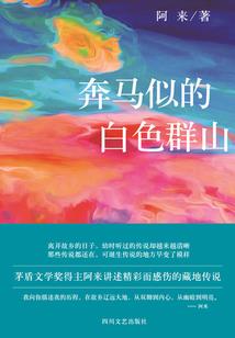 双鱼日记