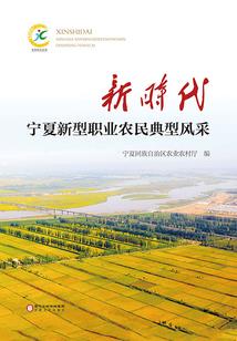 灵魂传说之一个男人的故事