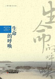 在尘埃里微笑