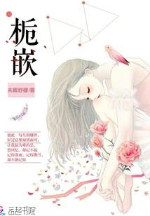 凡星窥天