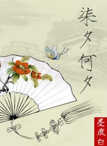 皂阁山小道士