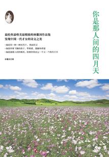 杭城杀手故事