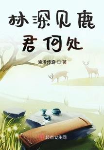 英雄联盟之我若为王
