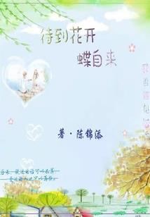 盗灵者