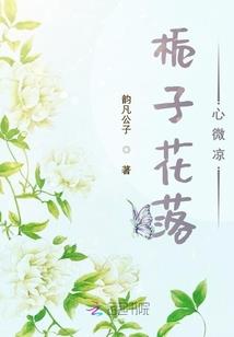 在V家的平淡日常