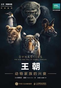 幻之猎魂王