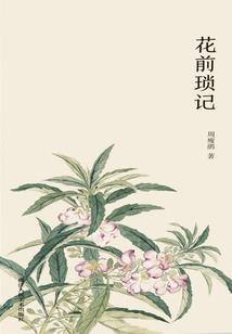 完美逐梦