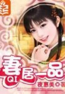 宠物小精灵之理想