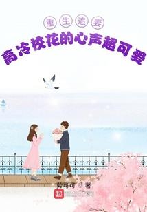 华夏守护神灭倭狼录