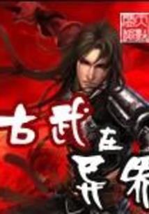 杀手的退休生活