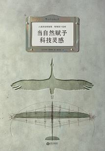 全能公主
