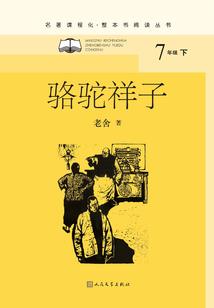 骑马与砍杀火与剑