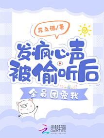 迪克南舰队