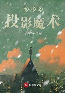翼梦流水