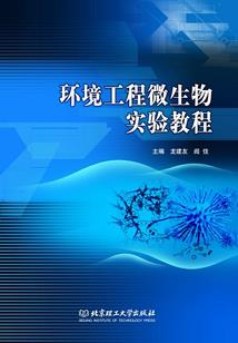 拿着一亿回家过年