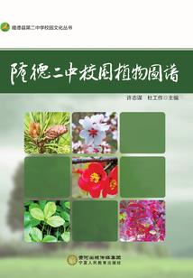 重生素手笑谈
