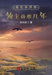 时光纪之彗星的眼泪