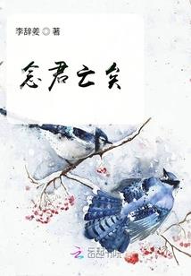 射手张知