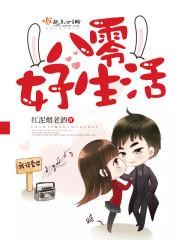 时光伴侣
