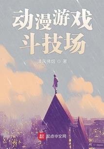 女权世界的大男人