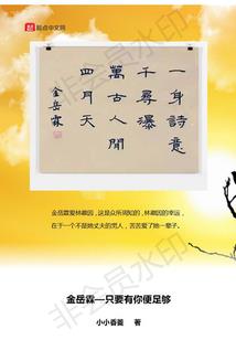 我只是一个武夫