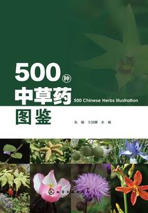 哀家本是傻白甜