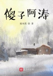 老猪新说