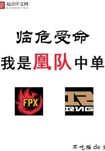 网游之光之奇迹