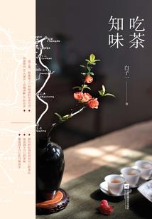冒险灵妖师