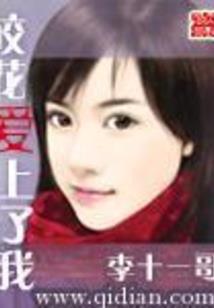 海贼之科技狂潮
