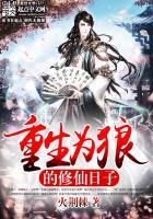 暗色的手枪