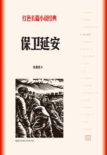 庞大支援