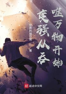 飞羽苍穹录