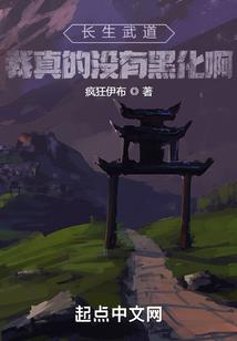 夏言的舰队